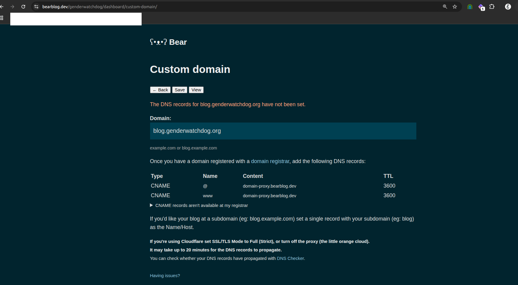 Bear Blog dashboard showing DNS not set error